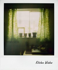 Kitchen Window