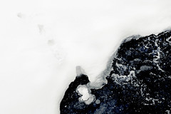 Into the Cold Water