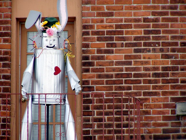 Tin Bunny