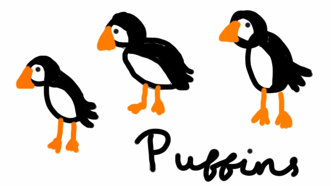 Three badly drawn puffins.