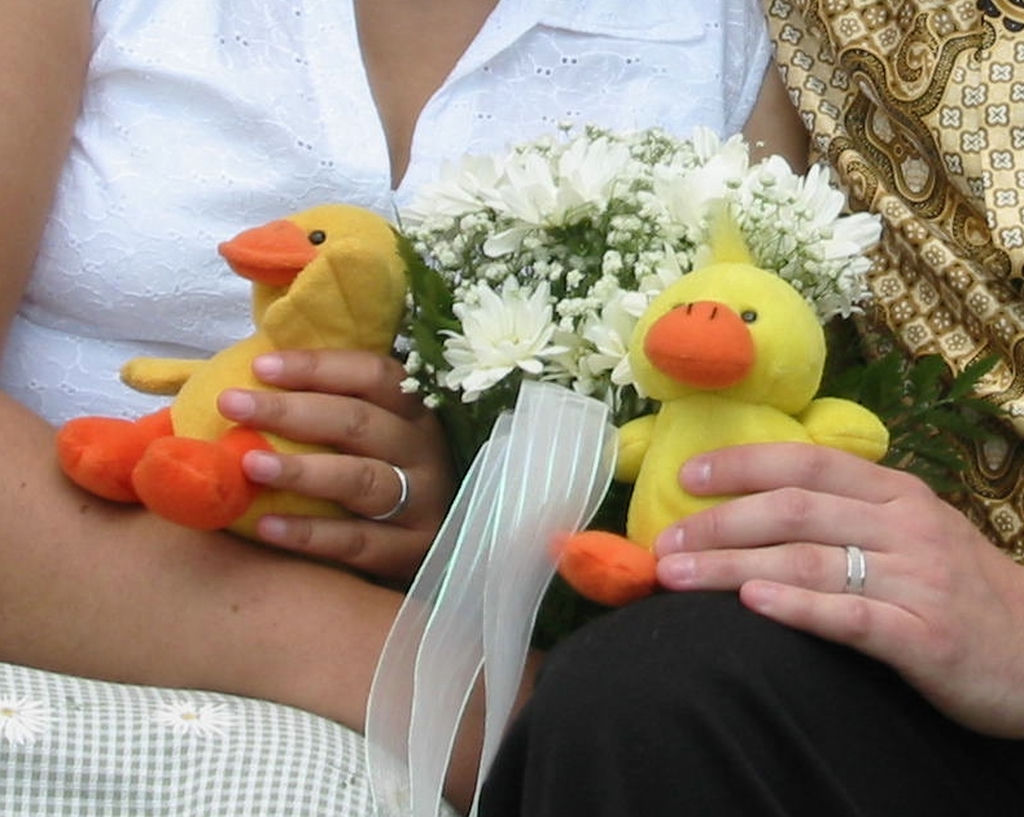 Hands of two people with wedding rings on their fingers holding two yellow duck stuffies.
