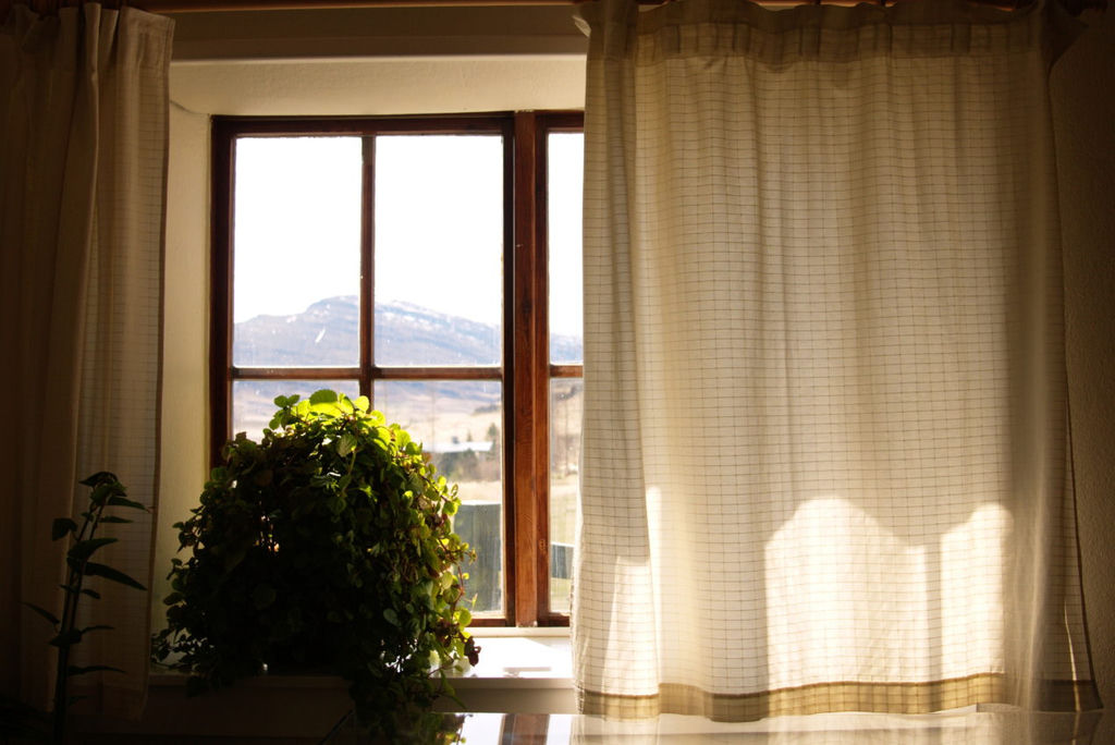 A window with a white curtain and a mountain view, and bushy houseplant sat in front of it.